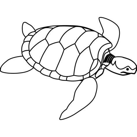 Turtle Outline Png Svg Clip Art For Web Download Clip Art Png Icon Arts