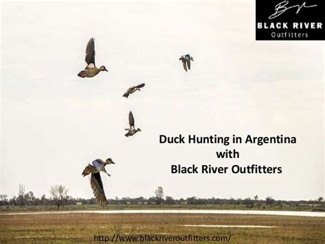 Duck Hunting Argentina Black River Outfitters
