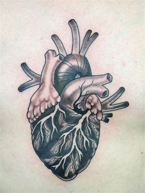 Anatomical Heart Anatomical Tattoos Heart Tattoo Tattoos