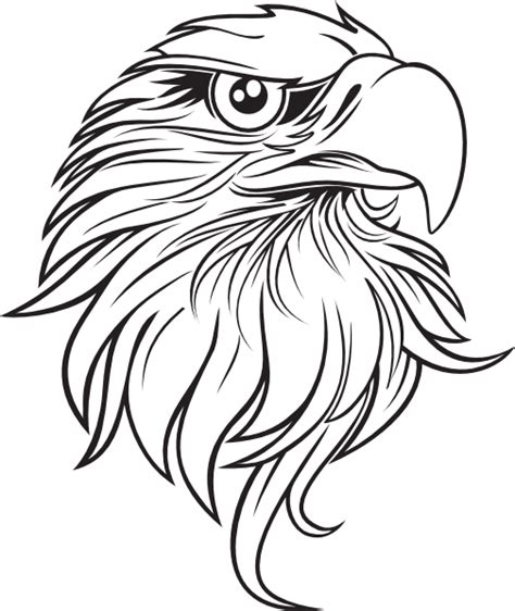 Black And White Cartoon Feather Large Eagle Drawing Eagle Art Art