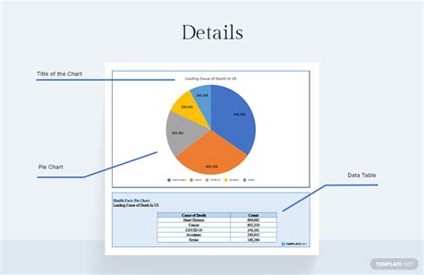 Health Facts Pie Chart Google Sheets Excel Template Net
