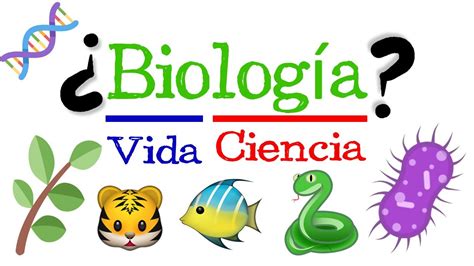 🐝 ¿qué Es La BiologÍa 🌿 Fácil Y Rápido BiologÍa Youtube
