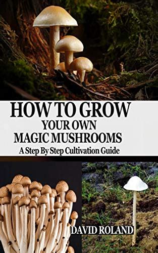 How To Grow Your Own Magic Mushrooms A Step By Step Cultivation Guide