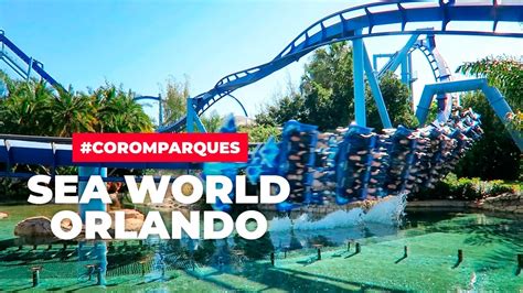Sea World Orlando Consejos Y Atracciones Youtube