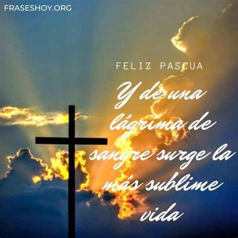Los internautas contrastaron las felicitaciones del exmandatario — jack posobiec (@jackposobiec) april 4, 2021. Felices Pascuas 2021: Imágenes con Frases cristianas y Mensajes 2021 | FrasesHoy.org