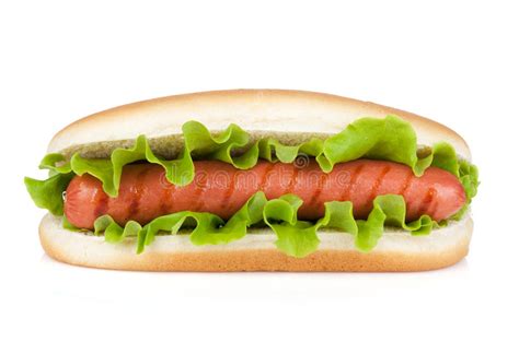 Hot Dog With Lettuce Stock Photo Image Of Barbecue Meal 30140814