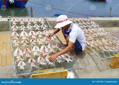 Fisherman Drying Fish In Sunlight Editorial Stock Image Image Of
