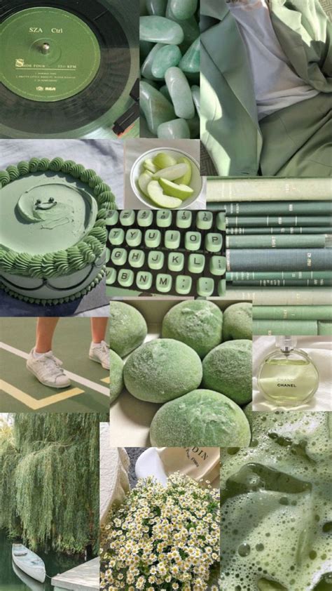 An Assortment Of Refreshing Amd Peaceful Sage Green Colored Lifestyle