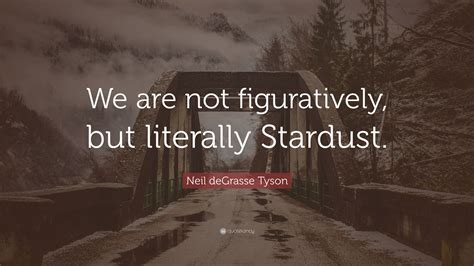 Neil Degrasse Tyson Quote “we Are Not Figuratively But Literally