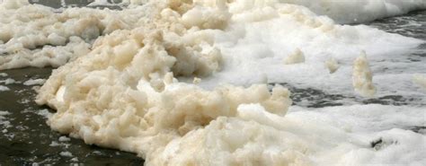 What Is Sea Foam Dunkirk Organic Molecules Sea Foam