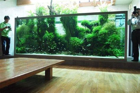 See more ideas about nature aquarium, aquascape, takashi amano. Takashi Amano's old home tank is still awesome | Nature ...