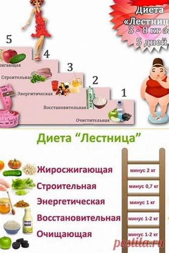 Диета Лесенка – новая супер методика похудения, позволяющая сбросить Картинка - Диета Лесенка – новая супер методика похудения, позволяющая сбросить