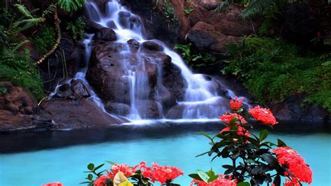 Tropical Waterfall Wallpaper