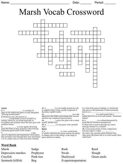 Marsh Vocab Crossword Wordmint