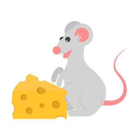 Mouse Eat Cheese Clip Art Illustrations Royalty Free Vector Graphics