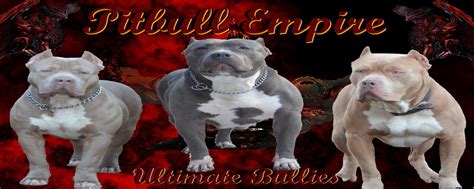 You will pay more for a pitbull puppy that comes from a reputable bloodline. Pitbull Breeders Near Me - change comin