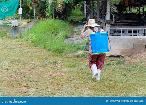 Agriculturist Spraying Pesticides Fertilizers Stock Photo Image Of