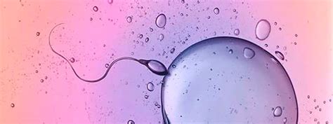 Male Sperm Count Plummets Blog Create Fertility
