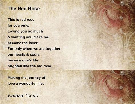 The Red Rose The Red Rose Poem By Natasa To