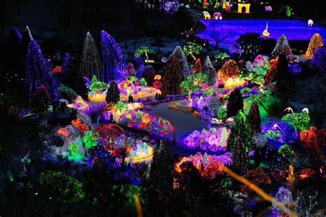 Current Festivals Visitkorea Lighting Festival At The Garden Of