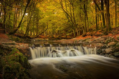 Stepping Stones Tollymore Forest Co Down By Irish Outdoor