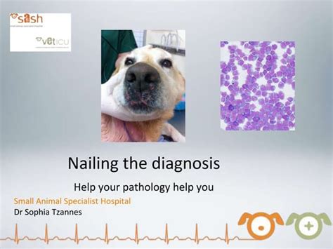 Sash Nailing The Diagnosis Pathology By Dr Sophia Tzannes Ppt