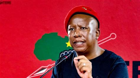 Julius Malema Faces A Criminal Charge Of Animal Cruelty News In A