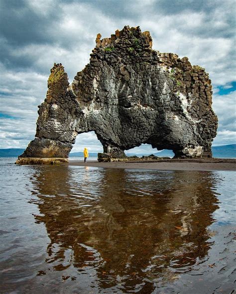 Mr Das 🌎 On Twitter Hvítserkur The Rhino Rock In Iceland Love This