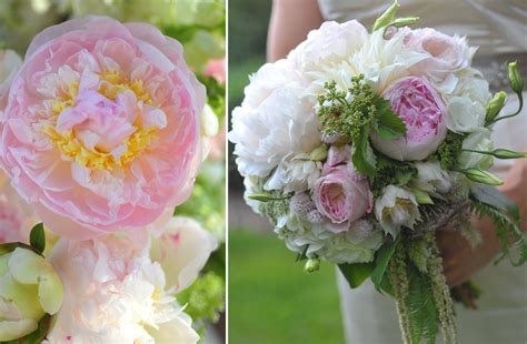 We did not find results for: romantic wedding flowers light pink peony bridal bouquet ...