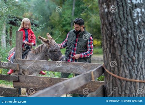 A Cute Blonde Girl Riding A Donkey On A Farm Her Dad Helping Her Stock