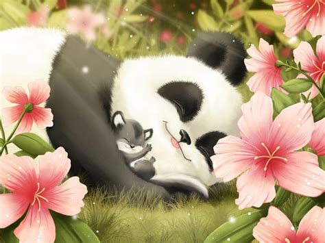 Cute Baby Panda Wallpapers 50 Wallpapers Adorable Wallpapers