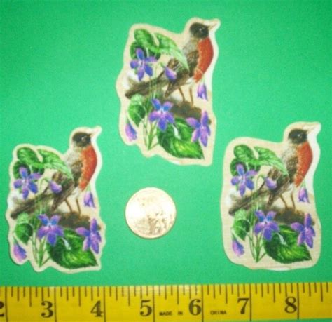 Wisconsin State Bird And Flower Iron Ons Fabric Appliques
