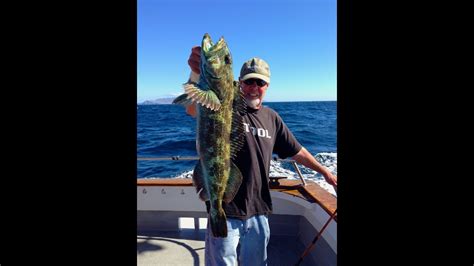 Maybe you would like to learn more about one of these? Saltwater ''the deep'' fishing,Sea Landing,Santa Barbara ...