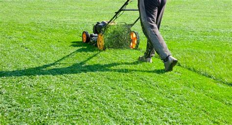 Advanced Lawn Management More Than Mowing Green Grounds Landscaping Llc