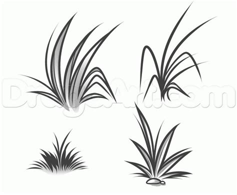How to Draw Grass, Step by Step, Other, Landmarks & Places, FREE Online Drawing Tutorial, Added ...