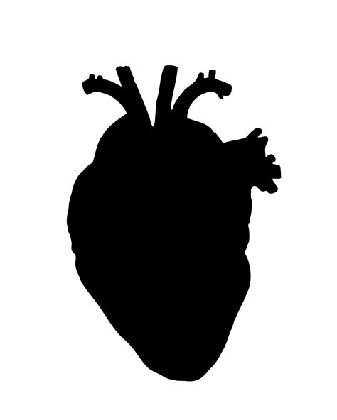 Human Heart 1536×1920 Human Heart Silhouette Stencil Heart