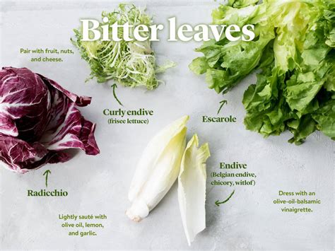 This particular type of lettuce has a more bitter taste and originally grew in the mediterranean. The Ultimate Guide to Using Salad Leaves | Stories ...