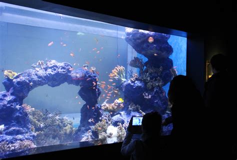 New Attraction In South Korea Explore Daegu Alive Aquarium Public