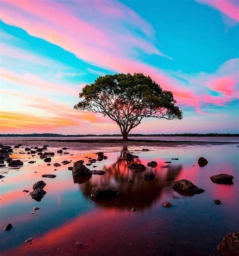 Sunset In Brisbane Australia World Photography Nature