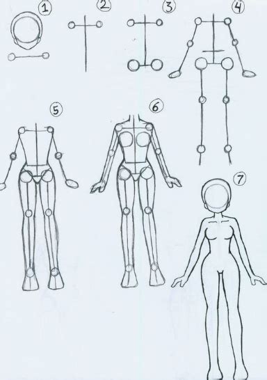 Desenhar O Corpo Humano Desenhando Corpo Feminino Arte Em Caderno De