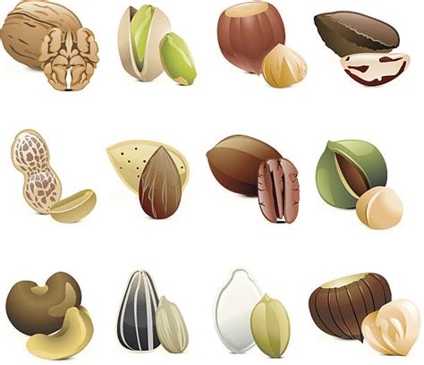 Royalty Free Sunflower Seeds Clip Art Vector Images And Illustrations