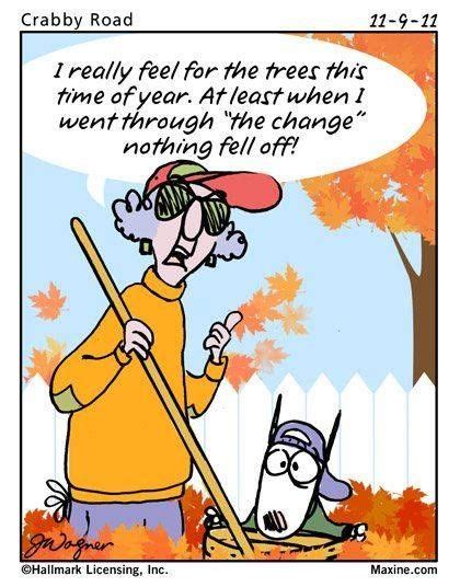744 best Halloween/Fall/Thanksgiving images on Pinterest | Turkey jokes