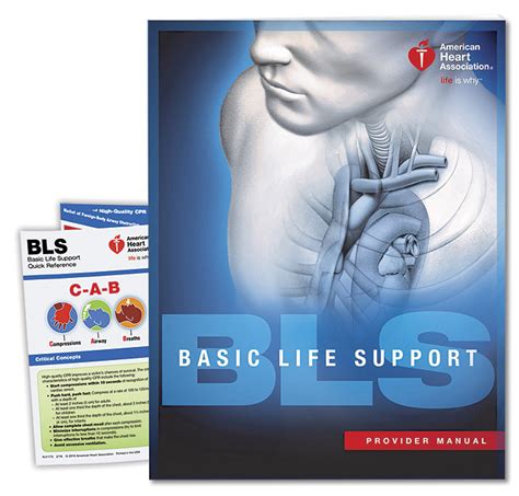 Basic Life Support (BLS) Guidelines