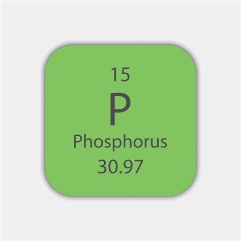 Premium Vector Phosphorus Symbol Chemical Element Of The Periodic