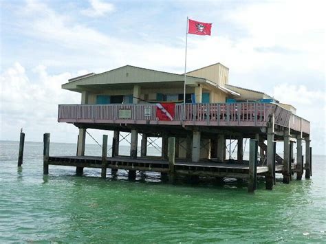 Located at 1423 washington ave., the café will serve coffee, cold brew, teas, donuts and views of kittens and cats that south florida sun sentinel |. Stiltsville, sometimes visible from the tip of Key ...