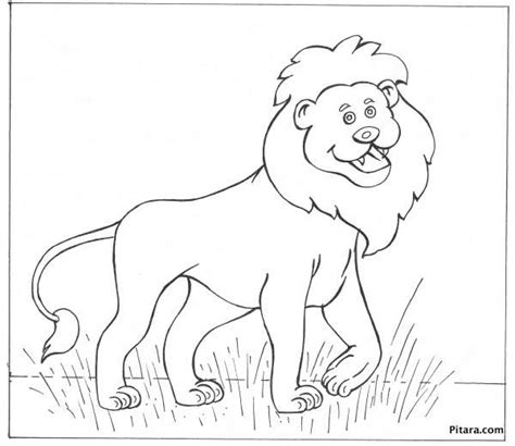 Wild Animals Coloring Pages Pitara Kids Network