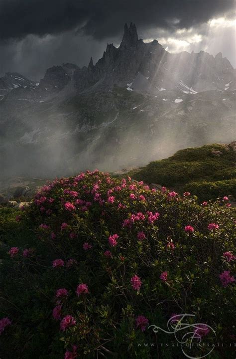 Photography Workshops By Erin Babnik French Alps Landscape