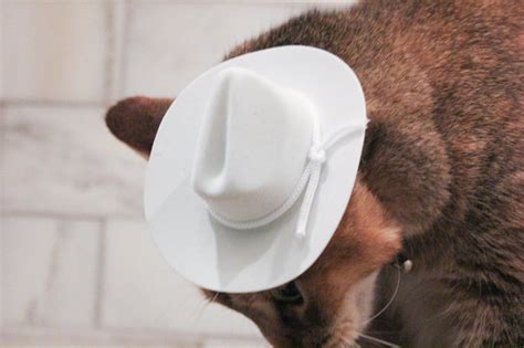 White Cowboy Cat Hat Dog Hat W Free Shipping Etsy
