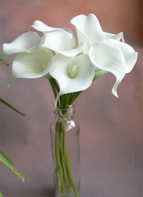 Stems Real Touch White Ivory Calla Lilies Faux Flowers Etsy Canada