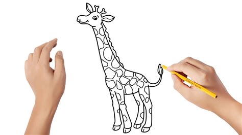 1) dessinez un rectangle qui définira les proportions et les limites du dessin choisi. Comment dessiner une girafe - YouTube